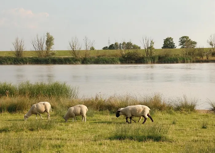 Ostfriesen Hof Отель Леер